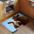 thumbnail image 2 of 2x3 Ft Entryway Area Rug, Brown Cows Kitchen Rug Runner Washable Floor Mat, Country Elegant Farmhouse Modern Art Non Slip Indoor Door Mat Throw Carpet for Bathroom Living Room Bedroom, 2 of 8
