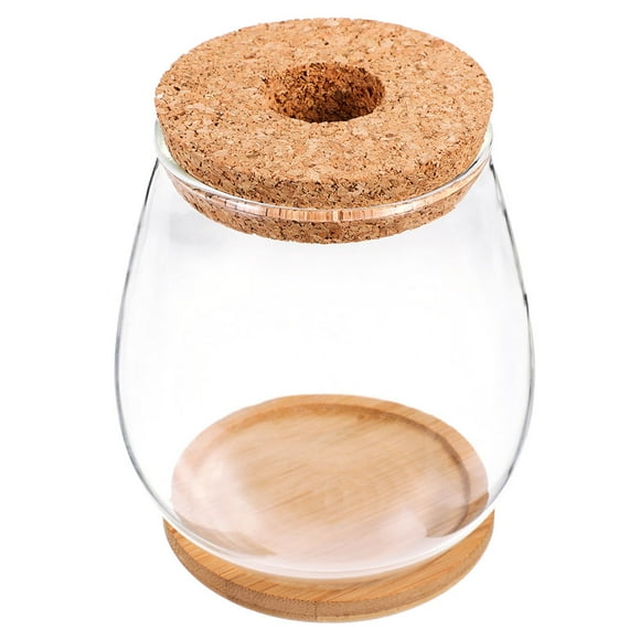 ELAYARD Glass Pots for Plants with Aesthetic Design in Glass and Bamboo 1Set