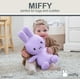 thumbnail image 2 of Peluche KIDS PREFERRED Miffy, conejito holandés de 35 cm, color morado, 2 of 6