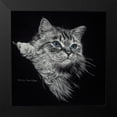 thumbnail image 2 of Harrison, Lesley 20x20 Black Modern Framed Museum Art Print Titled - Kitten II, 2 of 5