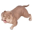 thumbnail image 1 of Modelo de perro decorativo, modelo de simulación de bulldog, modelo de perro educativo, colección de juguetes para perros, lo mejor en su clase, 1 of 14