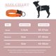 thumbnail image 3 of Bienvenido Collar de perro ajustable, correas de entrenamiento para mascotas fuertes y duraderas para perros pequeños, 3 of 5