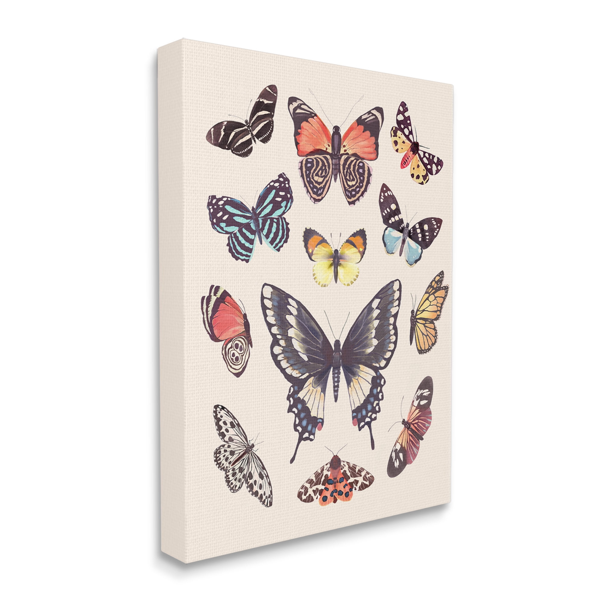 Stupell Industries Cottage Moths & Butterflies Animals & Insects Painting Gallery Wrapped Canvas Print Wall Art, 16 x 20
