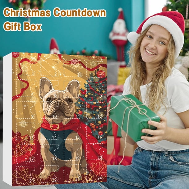 Regalos de Navidad para Bebés Calendario de Cuenta Regresiva de Navidad 2025, Incluyendo 24 Regalos de Sorpresa, Incluyendo Adorables Muñecas 2D Y Impresionantes Colgantes de Navidad de la Temporada N