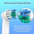 thumbnail image 4 of Replacement Toothbrush Heads YEOSLL Compatible with Oral B Braun, 8 Pack, 4 of 7