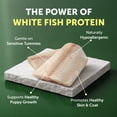 thumbnail image 2 of Nature's Protection Superior Care Dry Dog Food, Small White Coat Puppies, Grain-Free White Fish, 22lb, 2 of 9