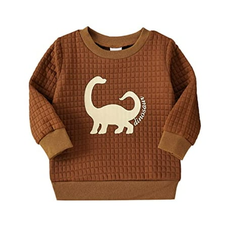 

StylesILove Baby Toddler Boys Dinosaur Quilted Pullover Sweatshirt Long Sleeve Jumper Autumn Winter Outfit (Brown 18 Months)