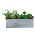 thumbnail image 3 of Northlight 12" Mixed Succulent Artificial Plants in Wooden Planter - Green/Gray, 3 of 6