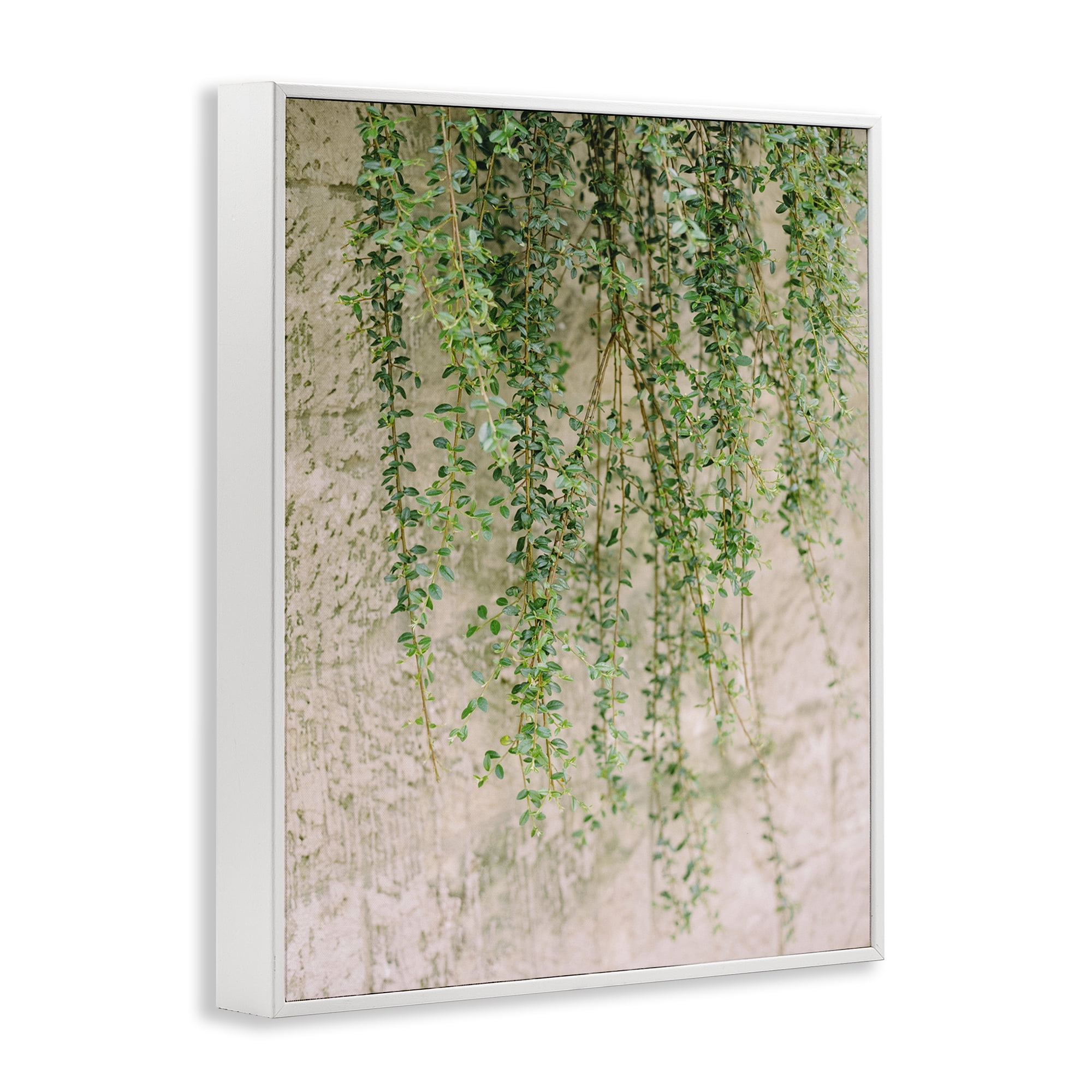Stupell Industries Hanging Ivy Vines Botanical & Floral Photography White Framed Art Print Wall Art, 24 x 30