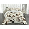 thumbnail image 3 of Ambesonne Cat Quilted Bedspread Set 3 Pcs, Little Kittens Playful Poses, Queen Size, Off White Taupe and Grey, 3 of 5
