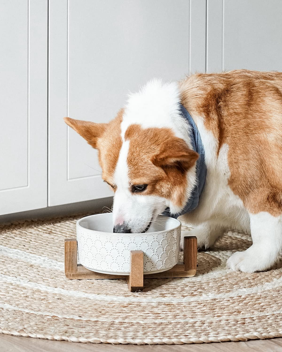 Dog Bowl Set with Acacia Wood Stand - 1.5-Cup Ceramic Puppy Bowls for Small Dogs, Dual Food and Water Bowls with Weighted Non-Slip Base
