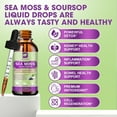 thumbnail image 5 of Sea Moss Liquid Drops - Irish Sea Moss Black Seed Oil with Ashwagandha, Soursop Bitters, Elderberry, Burdock Root, Bladderwrack,Support Antioxidant, Immune, Gut Health, 5 of 5
