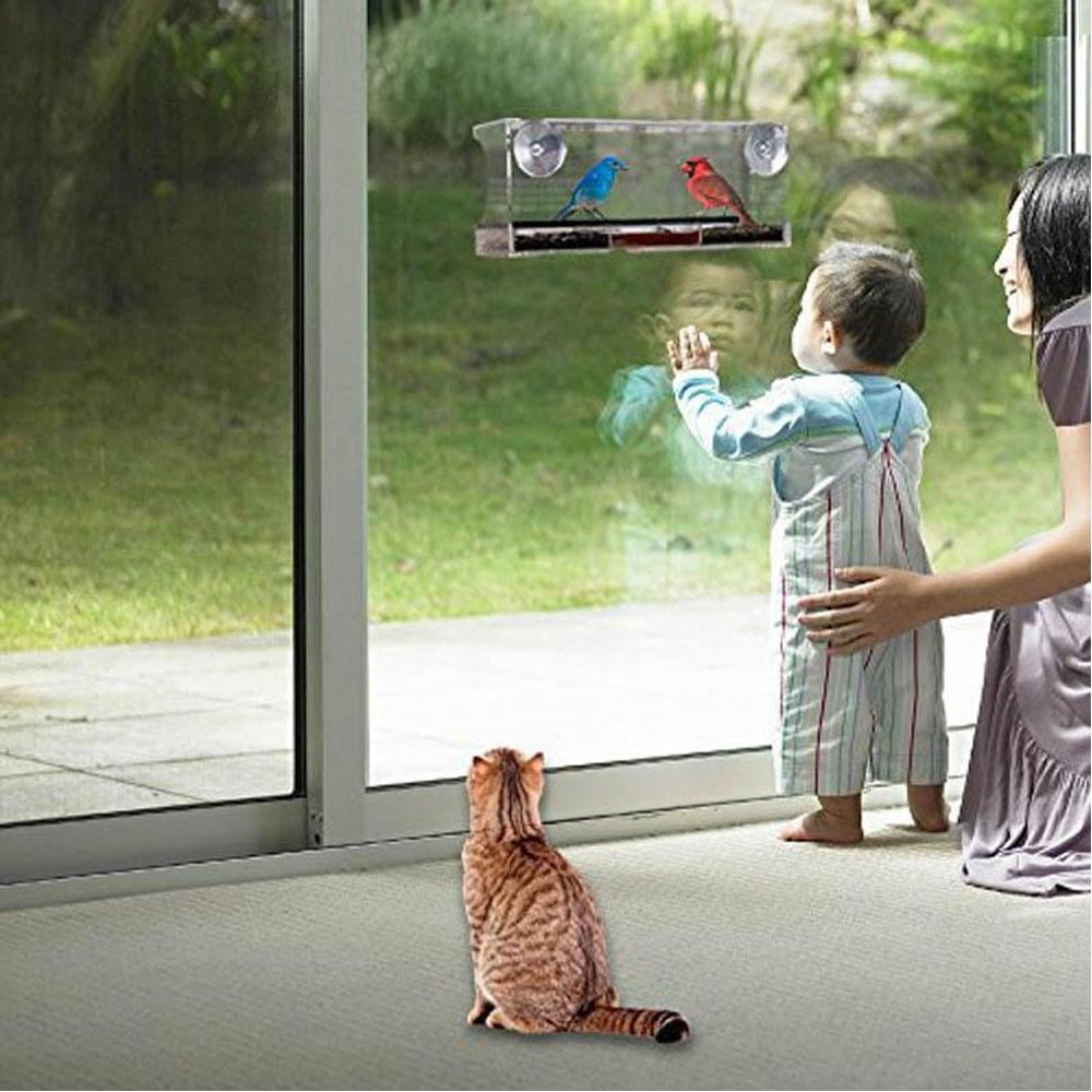 Fsd Solar Window Bird Feeder Walmart Canada