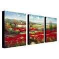 thumbnail image 2 of Trademark Fine Art "Field of Poppies" Canvas Art, 2 of 2