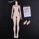 thumbnail image 1 of 17 Articulaciones Muebles Muñeca Femenina Cuerpo Desnudo Para 1/4 Bjd Sd Muñeca Accs Piel yotijar BJD MUÑECO CUERPO FEMENINO, 1 of 10