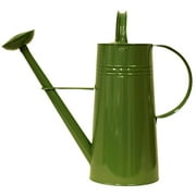 HOUSTON INTERNATIONAL TRADING  8610E SA Enameled Galvanized Steel watering can 2.5 gal. Color: Sage