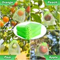 thumbnail image 7 of 50Pcs/100Pcs Fruit Protection Bags for Fruit Tree Fruit Netting Bags with Drawstring, Fruit Tree Bags mesh, Garden Mesh Barrier Bag for Plant Fruit Flower and Vegetables, 7 of 7