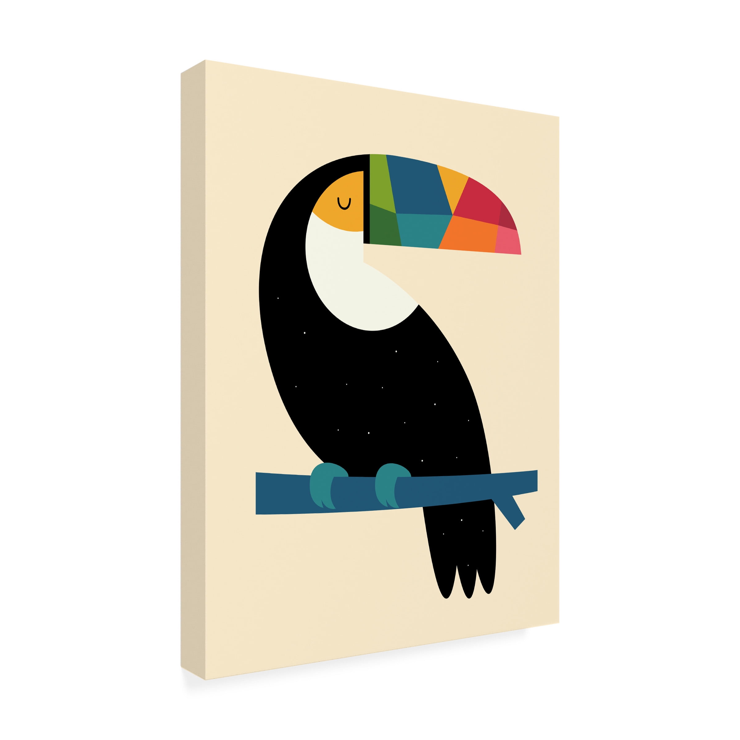 Andy Westface 'Rainbow Toucan' Canvas Art