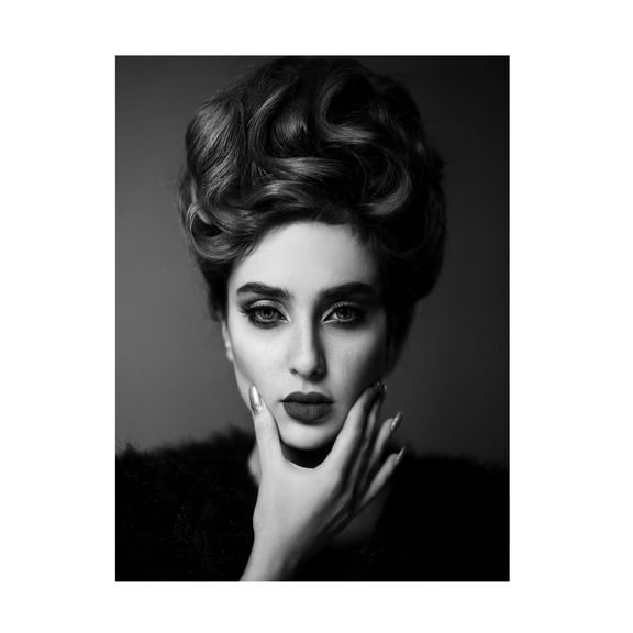 Canvas Wall Art - Amin Hamidnezhad 'Attitude' Wall Art for Living Room, Bedroom, or Office D?cor by Trademark Fine Art - 14 x 19 Inches