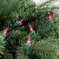 thumbnail image 4 of Northlight Mini Incandescent Christmas Lights - Pink - 20.25' Green Wire - 100ct, 4 of 5