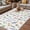 Pink LightBLue, variant on Spring Floral Outdoor Rug for Patio/Deck/Porch, Non-Slip Large Area Rug 5 x 7 Ft, Elegant Pastoral Flowers Dragonfly Rustic Indoor Outdoor Rugs Washable Area Rugs, Camping Rug Carpet Runner