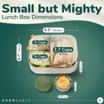 thumbnail image 2 of Bento Box Everusely Sage de acero inoxidable de 800 ml con recipiente, 2 of 7