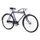 thumbnail image 2 of Bicicleta Turismo Águila Plateada R28 Adulto Benotto, 2 of 5