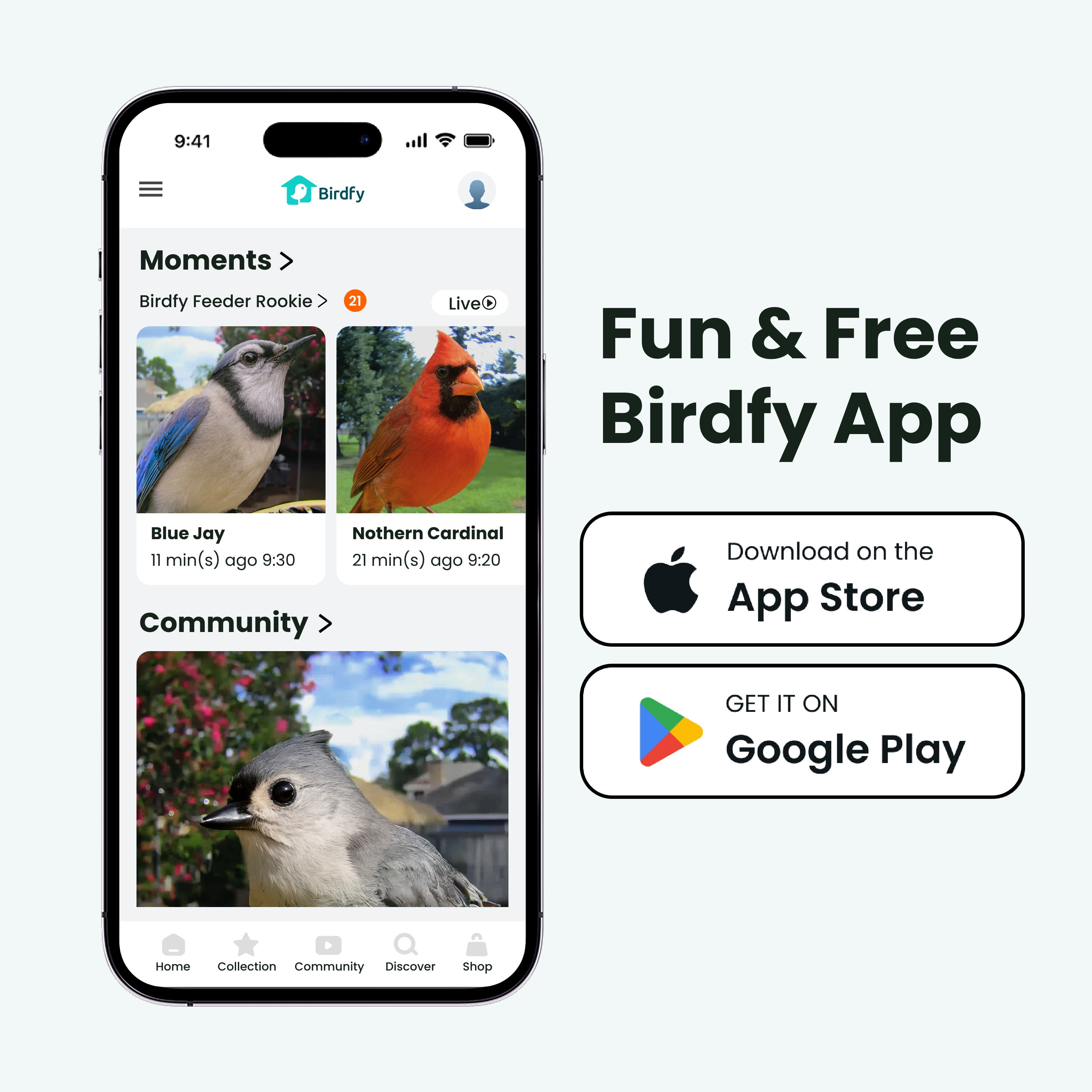 Birdfy Smart Bird Feeder with Camera, 6000+ AI Species Identification, 1080P HD Video, Instant App Alerts, Brown