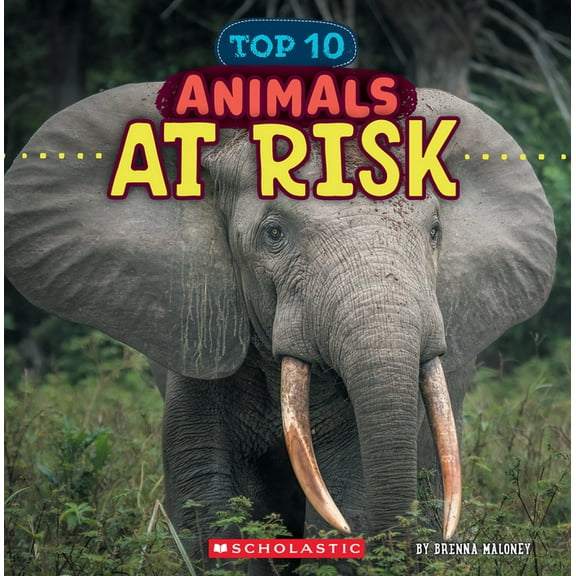 Wild World Animals at Risk (Wild World: Top 10), (Paperback)
