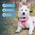 thumbnail image 4 of Voyager Step-In Lock Cat Harness - Adjustable Step-In Vest Harness for Small and Large Cats by Best Pet Supplies, 4 of 9