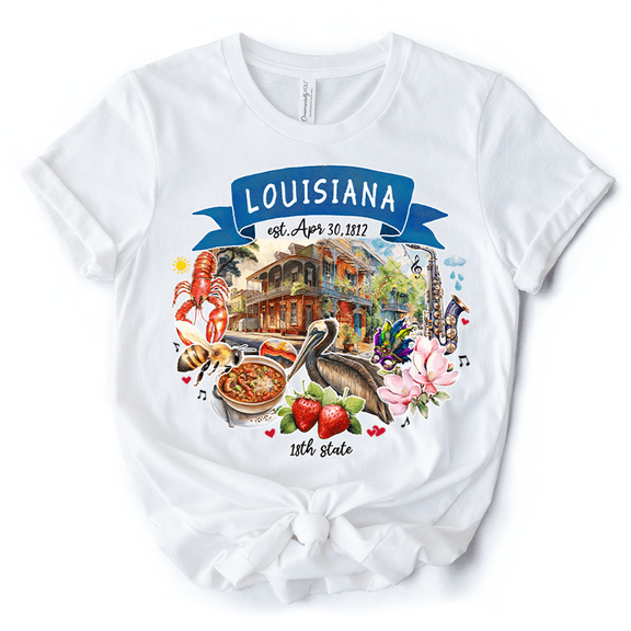 Artistic Louisiana State Themes and Landmarks T-Shirt, Tee for History and Travel Lovers