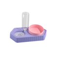 thumbnail image 2 of Dog Bowls Drinking Fountain Non Slip Raised Stand Dish Bowls Water Bottle Pet Feeding Station Automatic Pet Feeder for Cats Dogs Supplies double violet, 2 of 9