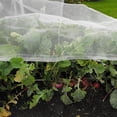 thumbnail image 3 of Filet de Protection contre les Insectes, Tunnel de Culture en Maille Fine pour Jardin (10M x 2.4M), 3 of 7