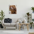 thumbnail image 2 of Stupell Industries Brown Bear Portrait Animals & Insects Photography Gallery Wrapped Canvas Print Wall Art, 24 x 30, 2 of 7