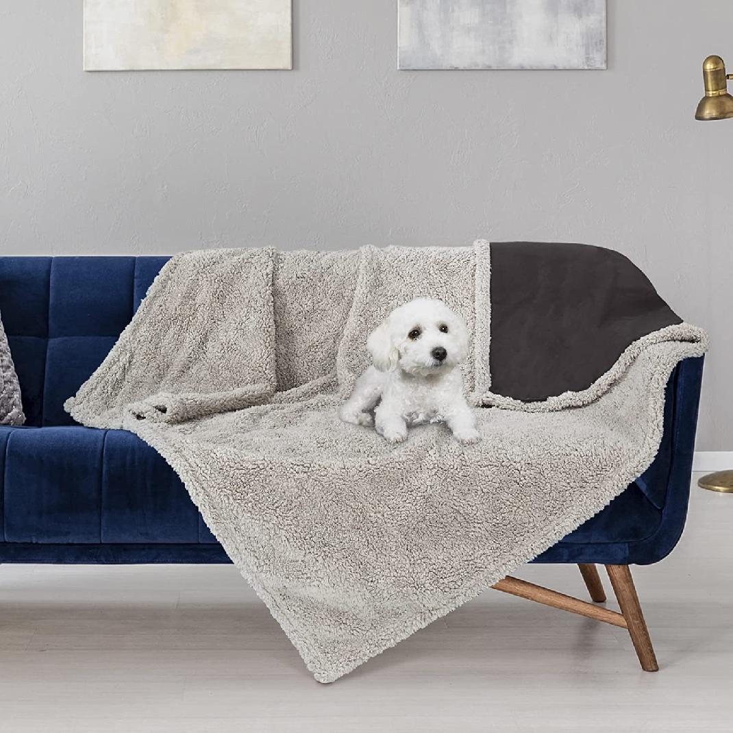 puppy proof couch