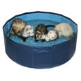 thumbnail image 1 of Marshall Pet Products Ferret Swiming Pool, 1 of 1