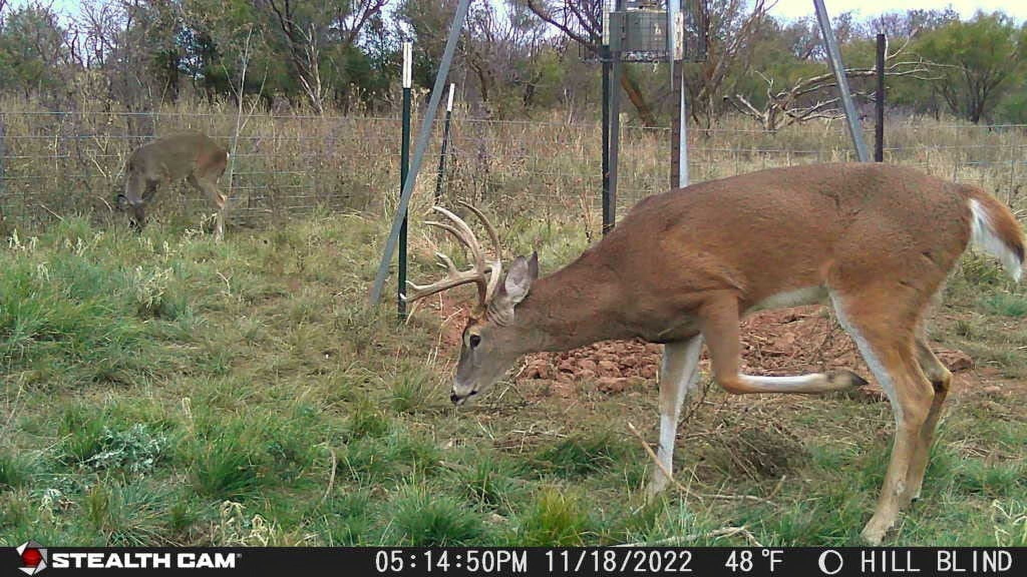Stealth Cam Browtine 18MP Trail Camera, 480P Video, 0.8 Sec Trigger, 18 IR Emitters, SD Card Slot (STC-BT18)