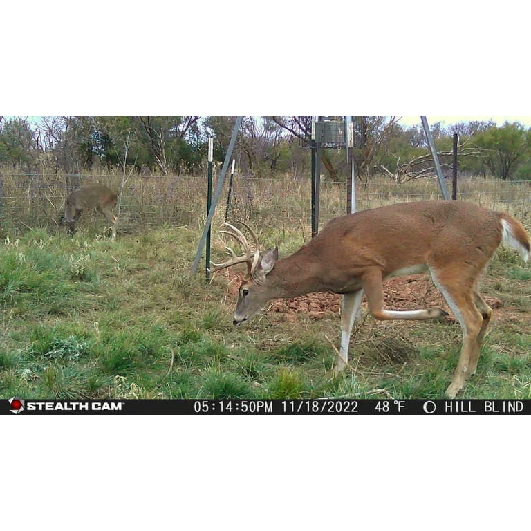 【超激安！】⑦Qi35〜STEALTH （8本）+おまけ（CB+PT&WG2本） Stealth Cam STCBT18 Browtine 18MP Trail Camera with Night Vision