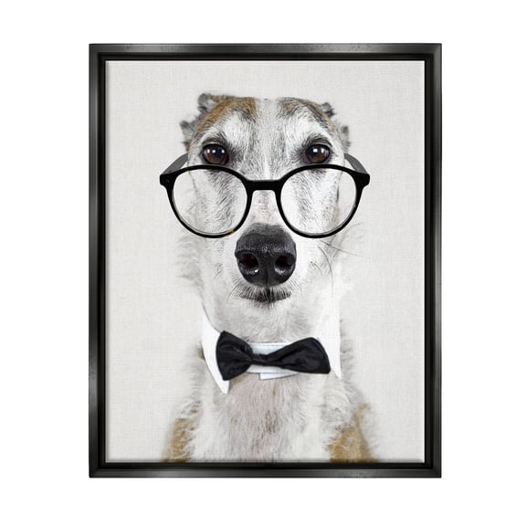 Stupell Funny Dog Formal Bowtie Glasses Animals & Insects Painting Black Floater Framed Art Print Wall Art