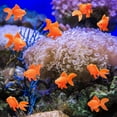 thumbnail image 6 of 10PCS Plastic Fish，Fake Goldfish, Artificial Floating Goldfish Ornament Realistic Moving for Aquarium Fish Tank Décor Party Decor Aquarium Fish Tank Fountain Bowl Decoration, 6 of 8