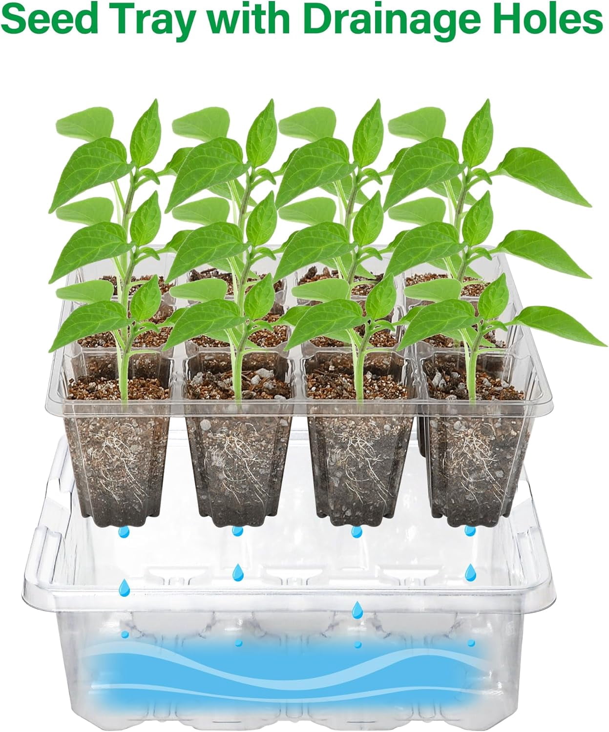 2-Pack Seed Starter Tray with Plant Light, Elevated Seedling Starter Trays Kits with Adjustable Humidity Domes and Clear Cell Tray, 12 Full Spectrum Led Lamp Beads for Plants Indoor-Clear