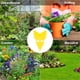 thumbnail image 5 of Trampa pegajosa para insectos para uso en interiores y exteriores, control de plagas de insectos, jardín, 12 unidades Sywqhk Libre de BPA, 5 of 7