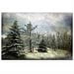 Trademark Fine Art "Frosty" Canvas Art by Lois Bryan
