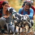 thumbnail image 5 of Correa para perro Slip Lead Fida Durable de 1,8 m x 1,3 cm de nailon azul, 5 of 5