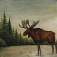 thumbnail image 2 of Art.com North Woods Moose II Art Print by David Cater Brown, 16" x 16", 2 of 4