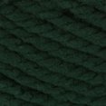 thumbnail image 2 of Bernat® Softee® Chunky™ #6 Super Bulky Acrylic Yarn, Dark Green 3.5oz/100g, 108 Yards (9 Pack), 2 of 11