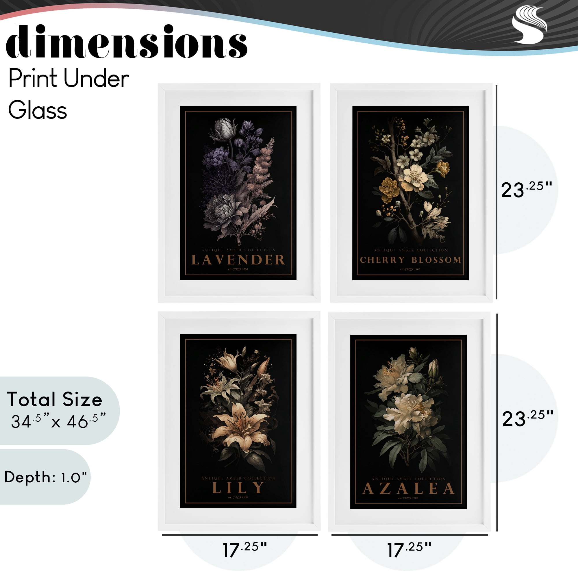 Stupell Industries Antique Varied Botanical Blooms 4 Piece White Framed Print Under Glass Set, design by Chris Giampietro