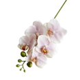 thumbnail image 2 of Shenmeida Artificial Orchid Stems Set of 3 Real Touch Orchid Blooms Fake Phalaenopsis Flower Home Wedding Decoration, 2 of 7