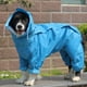 thumbnail image 1 of Zhuge Chubasquero impermeable para perros, ropa ligera para la lluvia para mascotas con capucha tipo poncho, XS, A04, 1 of 2