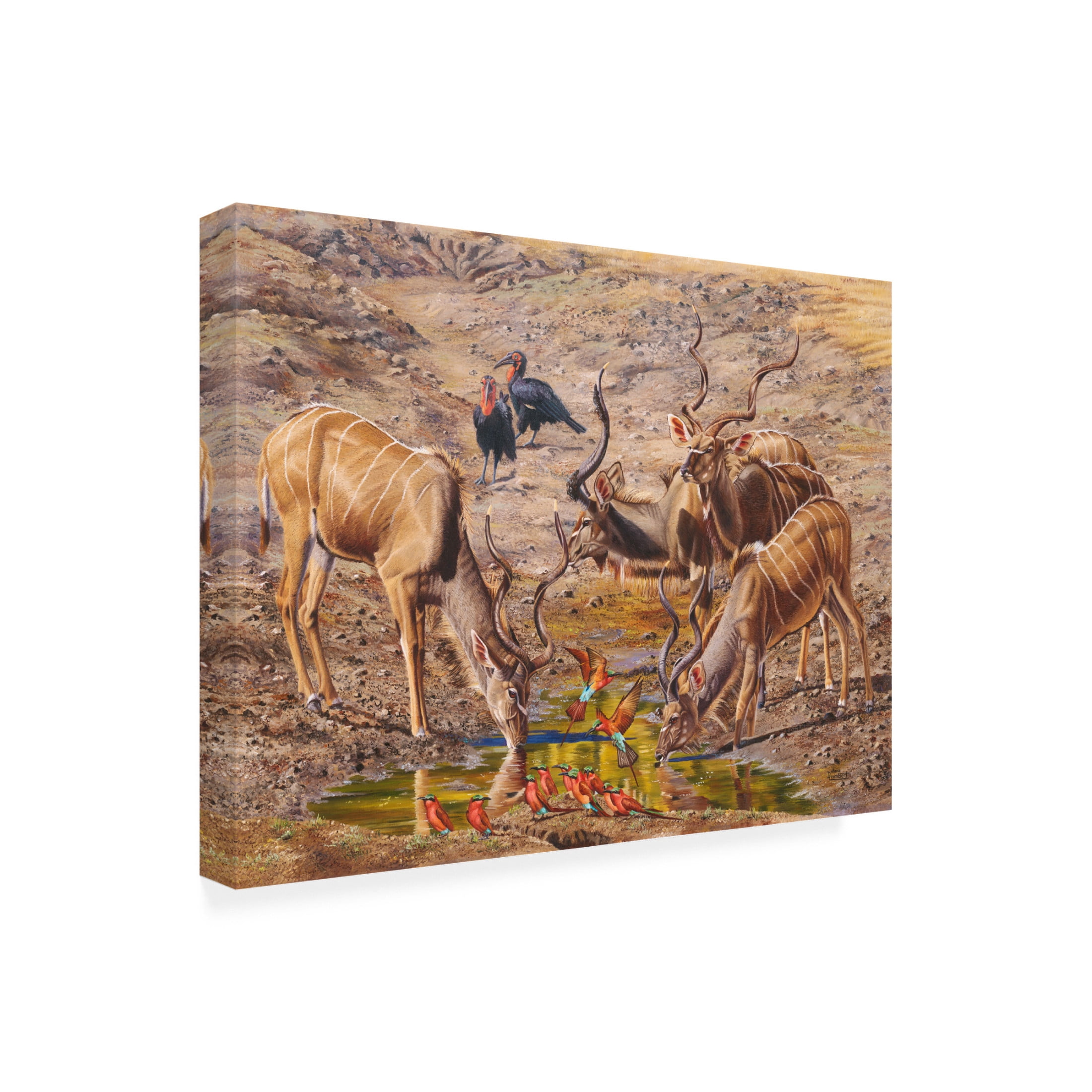 Canvas Wall Art - Delene Lambert 'Birds Eye View Kudu' Wall Art for Living Room, Bedroom, or Office Décor by Trademark Fine Art - 24 x 18 Inches